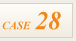 CASE28